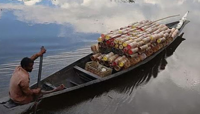 হাকালুকি হাওরে ‘কিরণমালা’ দিয়ে চলে চিংড়ি শিকার