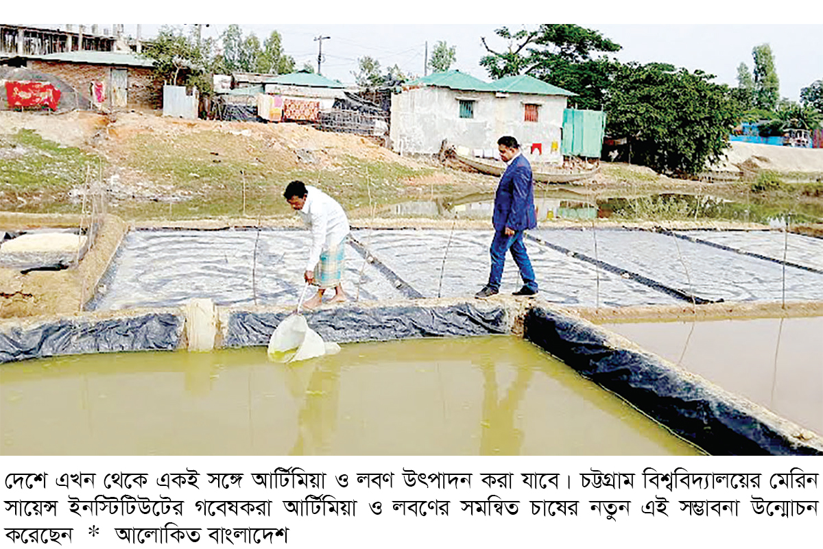 আর্টিমিয়া-লবণের সমন্বিত চাষে চবির সাফল্য