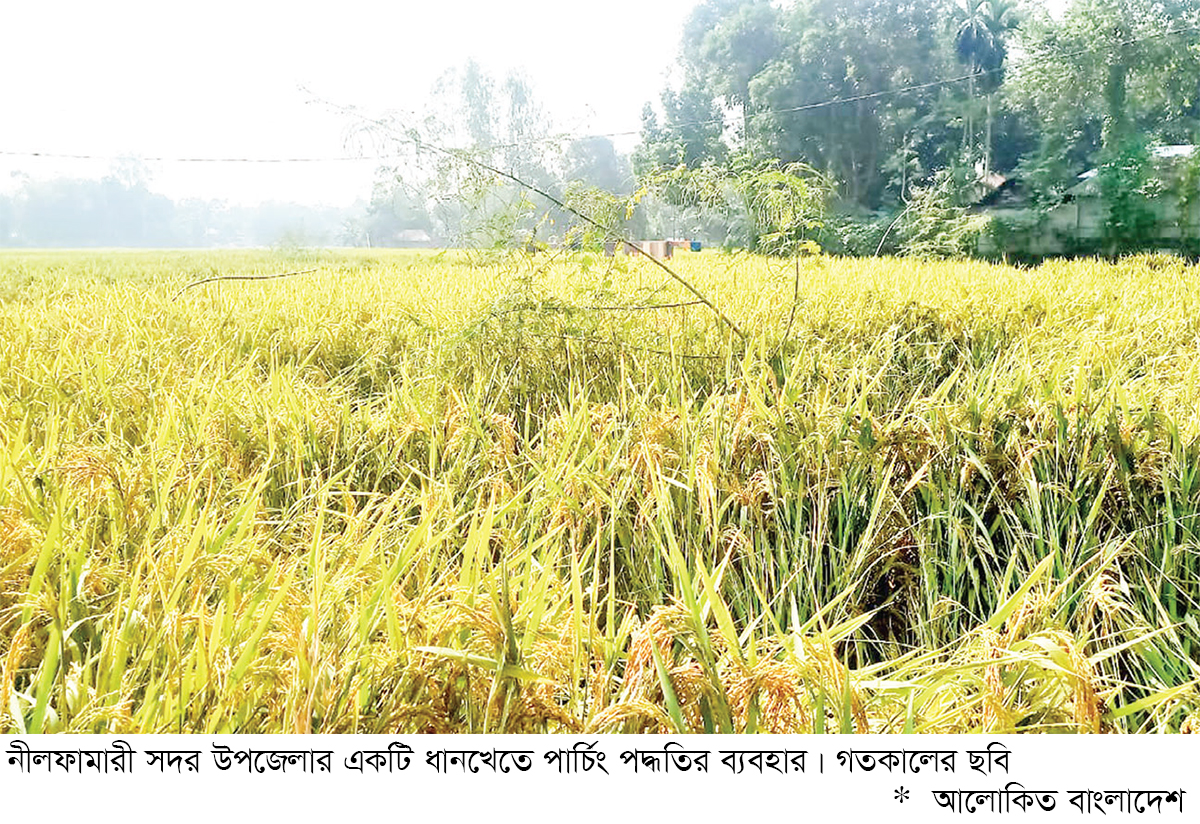 পরিবেশবান্ধব পার্চিং পদ্ধতির প্রয়োগ বাড়ছে উত্তরাঞ্চলে