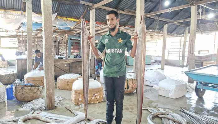 পাথরঘাটায় ধরা পড়লো বিপন্ন প্রজাতির মাছ, আড়াই লাখ টাকায় বিক্রি পাথরঘাটায় ধরা পড়লো বিপন্ন প্রজাতির মাছ, আড়াই লাখ টাকায় বিক্রি