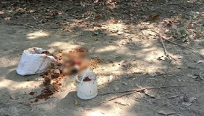 শার্শায় পরিত্যক্ত অবস্থায় ৬ ককটেল উদ্ধার