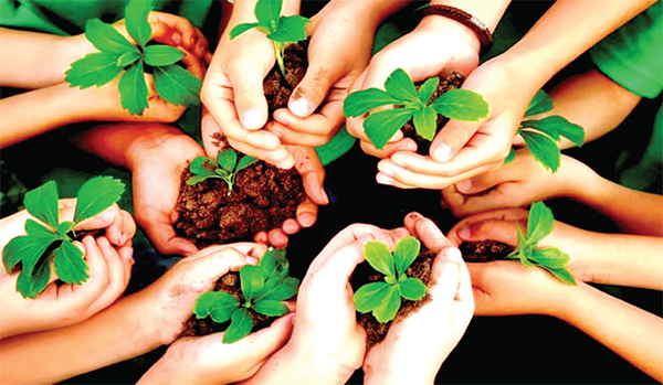 জীববৈচিত্র্য রক্ষায় ইসলাম জীববৈচিত্র্য রক্ষায় ইসলাম