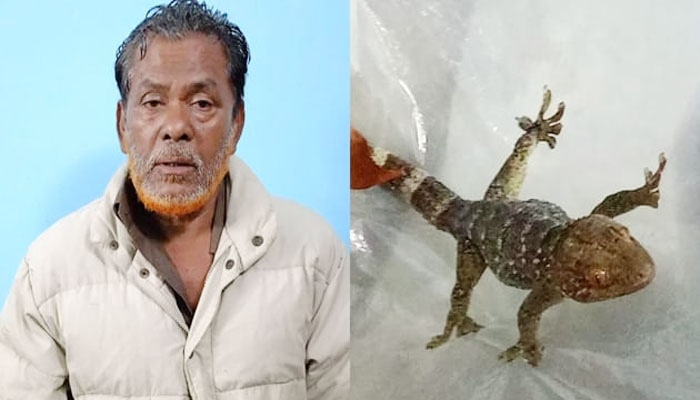 চুয়াডাঙ্গায় তিনটি তক্ষকসহ আটক ১ চুয়াডাঙ্গায় তিনটি তক্ষকসহ আটক ১