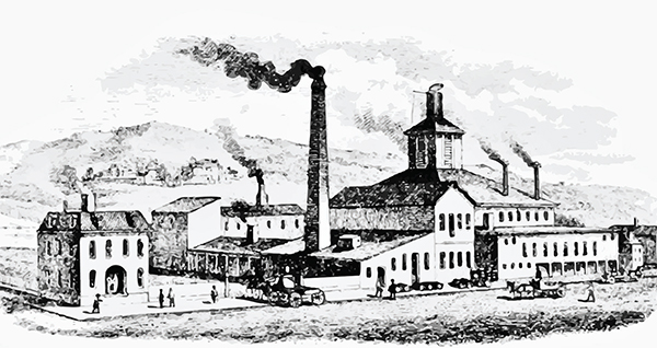 ঢাকার বিষবায়ু : প্রাতিষ্ঠানিক ব্যর্থতা ও নাগরিক উদাসীনতার যৌথ ফসল