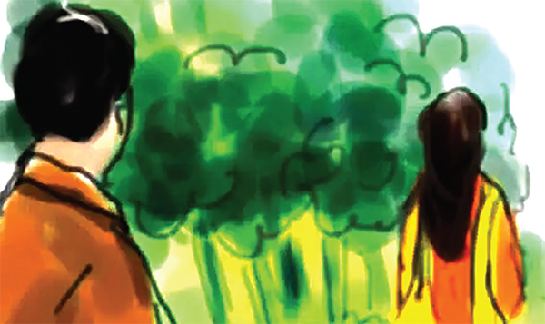 পাতার শহর পাতার শহর