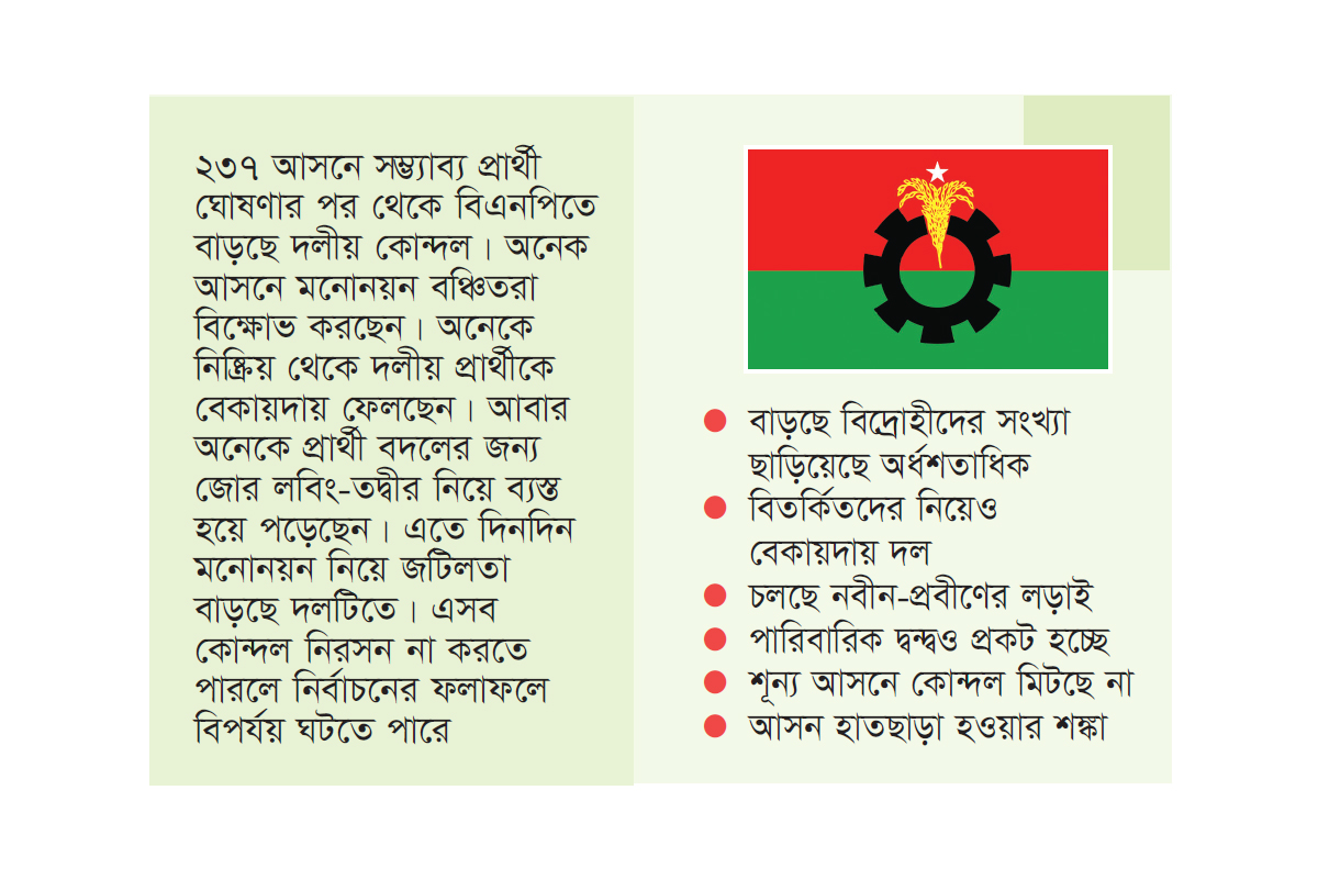 অর্ধশত আসনের বিদ্রোহী নিয়ে বিপাকে বিএনপি