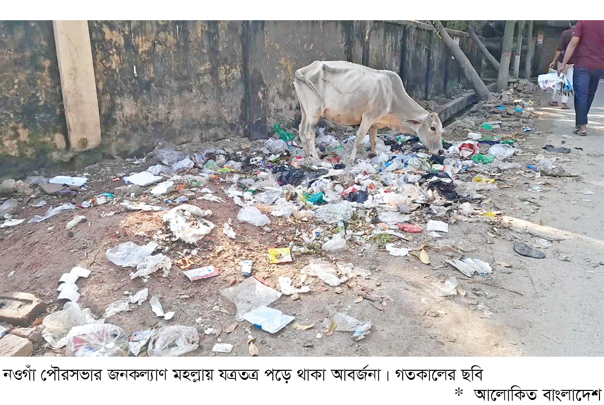 নওগাঁ শহরে মশার উপদ্রব নওগাঁ শহরে মশার উপদ্রব