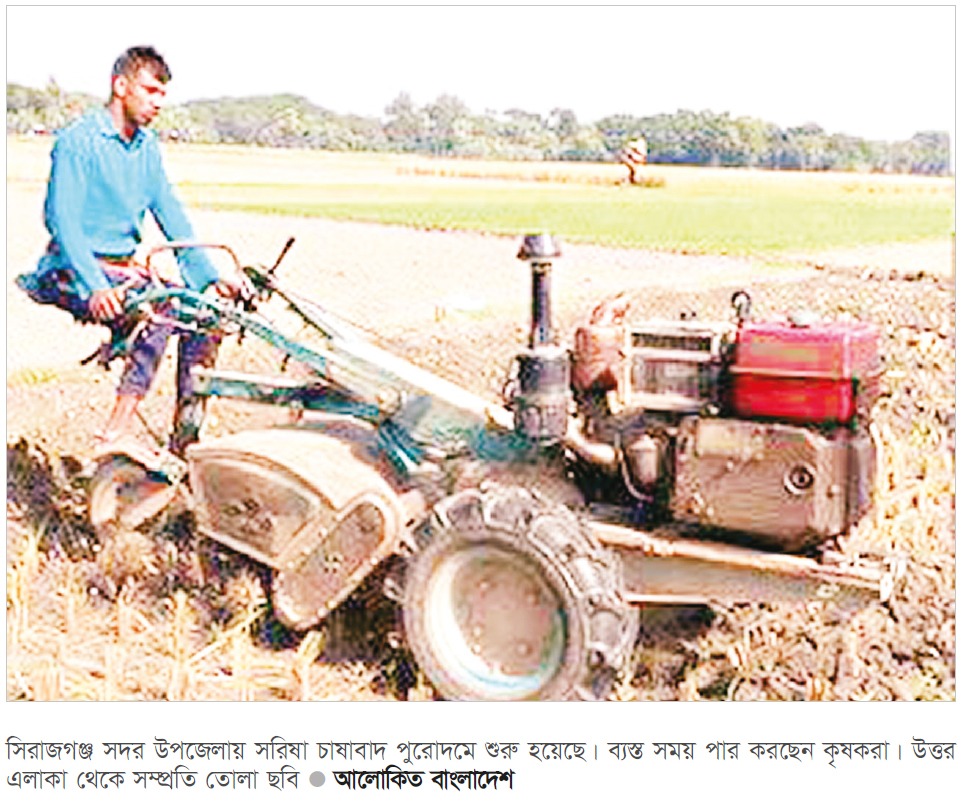 সিরাজগঞ্জে মৌসুমি সরিষা চাষে ব্যস্ত কৃষক সিরাজগঞ্জে মৌসুমি সরিষা চাষে ব্যস্ত কৃষক