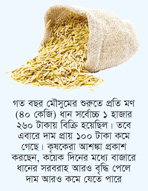 ধানের দাম কমায় উদ্বিগ্ন কৃষক