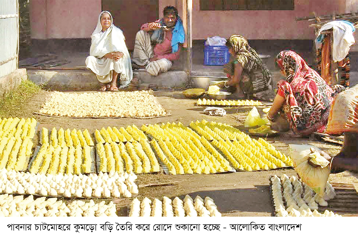 চাটমোহরের কুমড়ো বড়ির কদর দেশজুড়ে চাটমোহরের কুমড়ো বড়ির কদর দেশজুড়ে