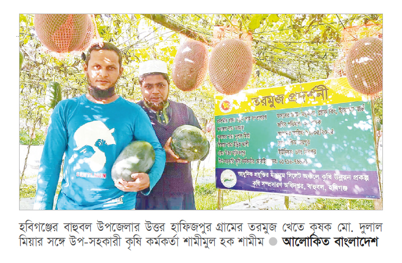 অসময়ে ব্ল্যাক বেবি তরমুজ চাষে বাজিমাত অসময়ে ব্ল্যাক বেবি তরমুজ চাষে বাজিমাত