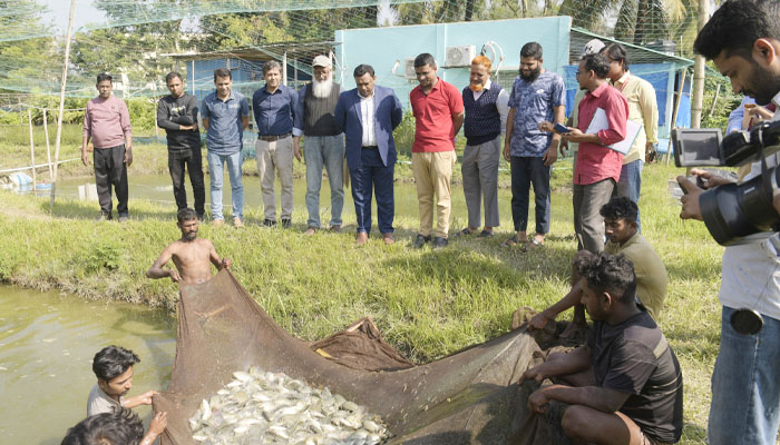 নোবিপ্রবিতে মাছ চাষে এরেটরের ব্যবহার: পরিদর্শনে উপাচার্য নোবিপ্রবিতে মাছ চাষে এরেটরের ব্যবহার: পরিদর্শনে উপাচার্য