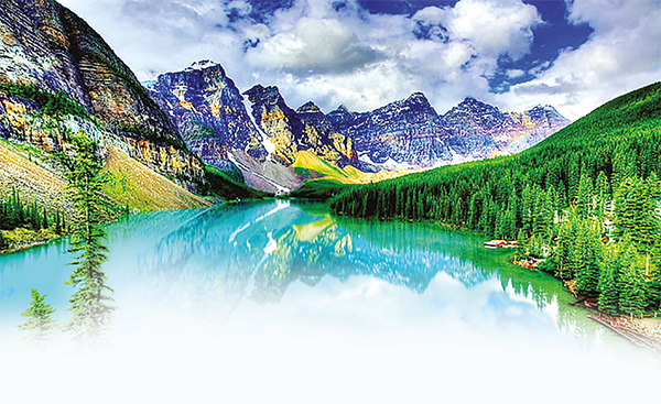 প্রকৃতির সৌন্দর্যের বিস্ময় প্রকৃতির সৌন্দর্যের বিস্ময়