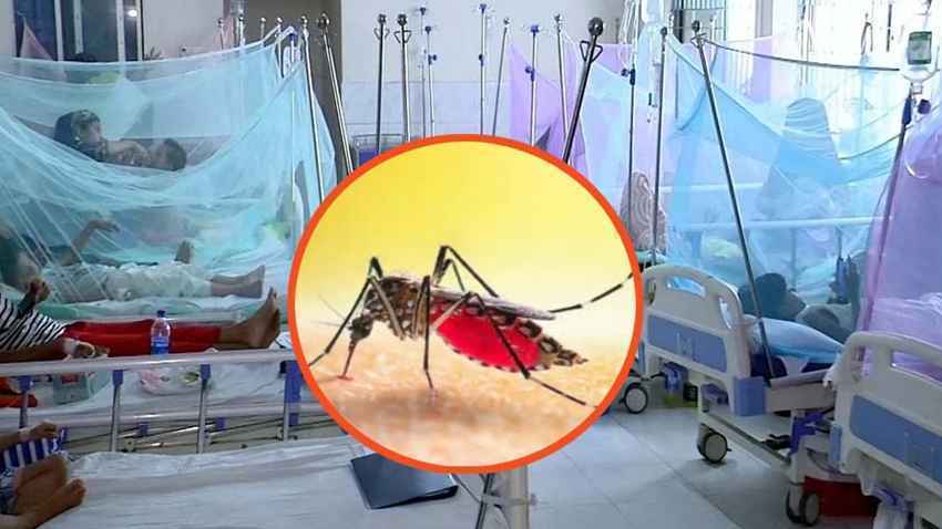 ডেঙ্গুতে মৃত্যু বেড়ে ৩৭০, আরও ৬১৫ জন হাসপাতালে