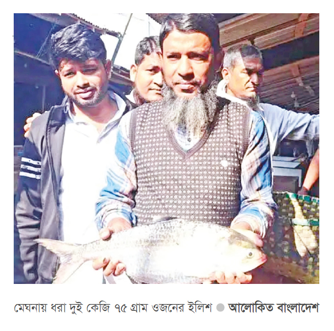 এক ইলিশ আট হাজার টাকায় বিক্রি এক ইলিশ আট হাজার টাকায় বিক্রি