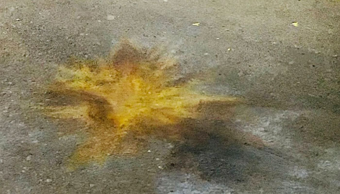 সেগুনবাগিচায় দুদক কার্যালয়ের সামনে ককটেল বিস্ফোরণ