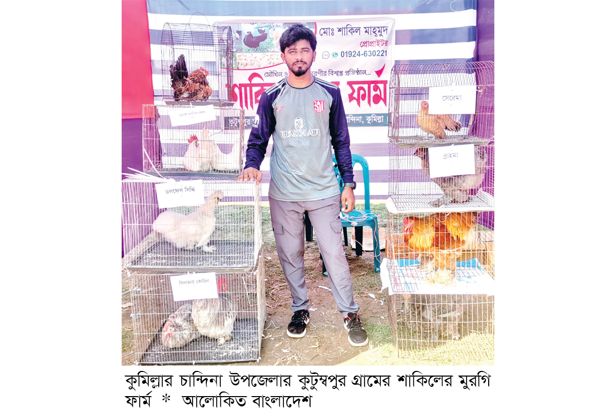 উন্নত জাতের মুরগি পালনে তরুণ উদ্যোক্তা স্বাবলম্বী উন্নত জাতের মুরগি পালনে তরুণ উদ্যোক্তা স্বাবলম্বী