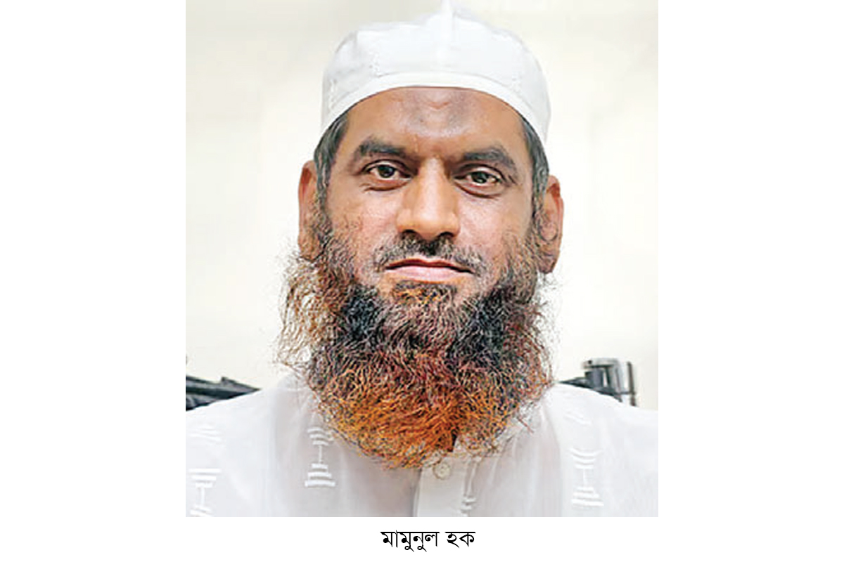 মির্জা ফখরুলের বক্তব্যে মামুনুল হকের উদ্বেগ মির্জা ফখরুলের বক্তব্যে মামুনুল হকের উদ্বেগ