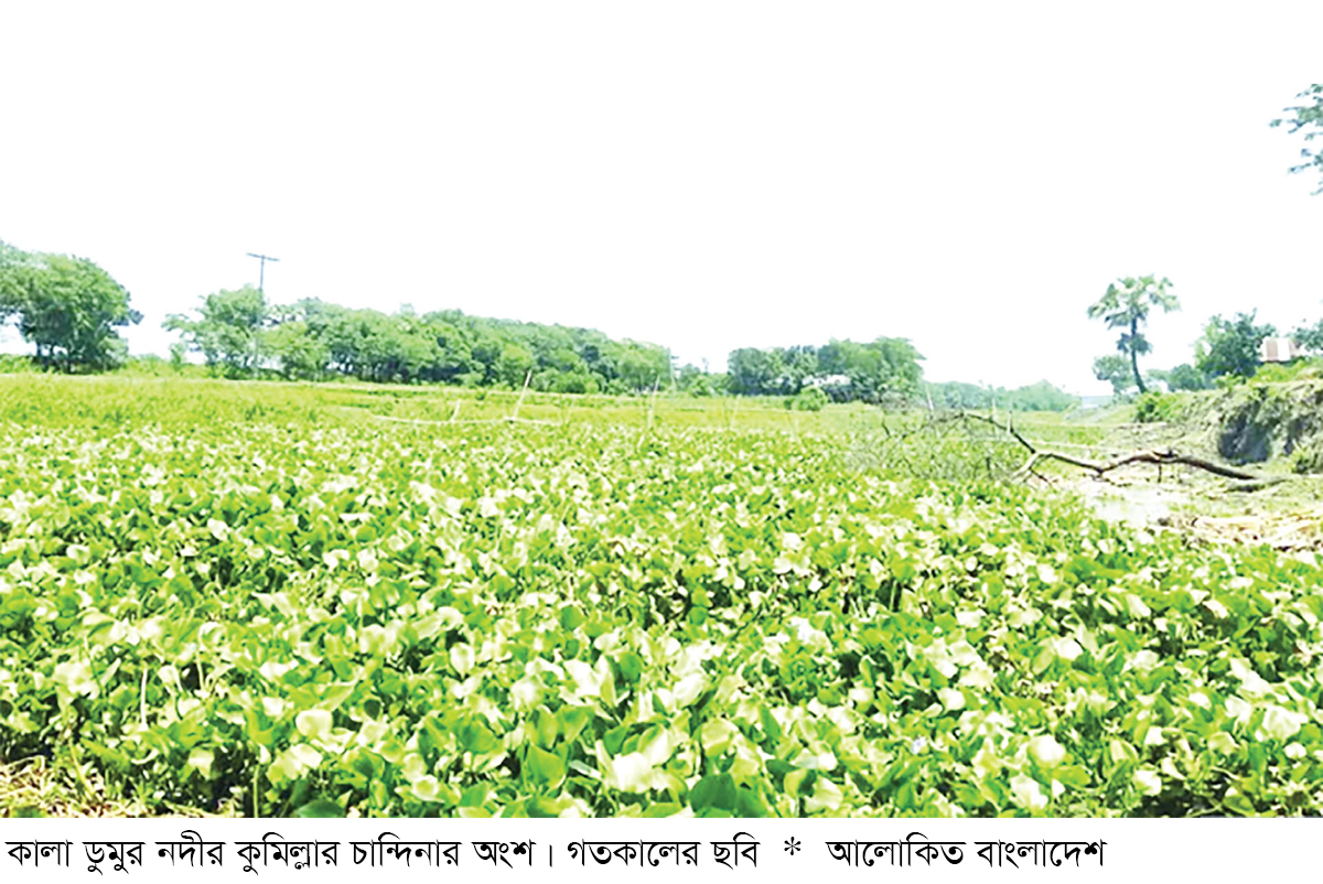 কালা ডুমুর নদী অস্তিত্ব সংকটে কালা ডুমুর নদী অস্তিত্ব সংকটে