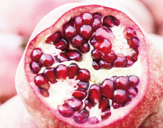 বেদানা খাওয়ার উপকারিতা বেদানা খাওয়ার উপকারিতা