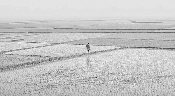 চাষযোগ্য জমি কমে যাওয়া ভবিষ্যতের জন্য হুমকি