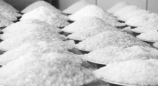 বাম্পার ফলন সত্ত্বেও চালের দামে আগুন বাজারে অদৃশ্য সিন্ডিকেট