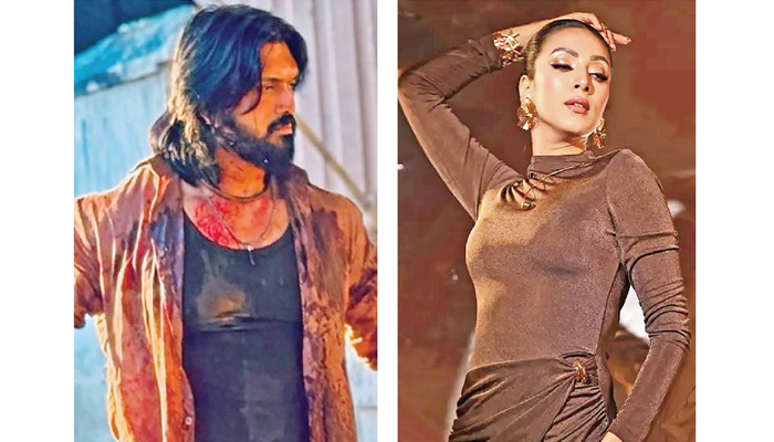 আরিফিন শুভর অ্যাকশন সিনেমার নায়িকা মিম