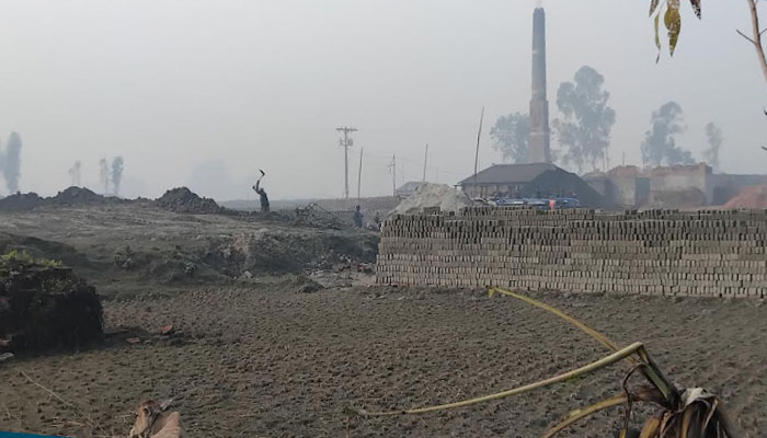 লালমনিরহাটে ইটভাটার জন্য মাটি কাটার মহোৎসব