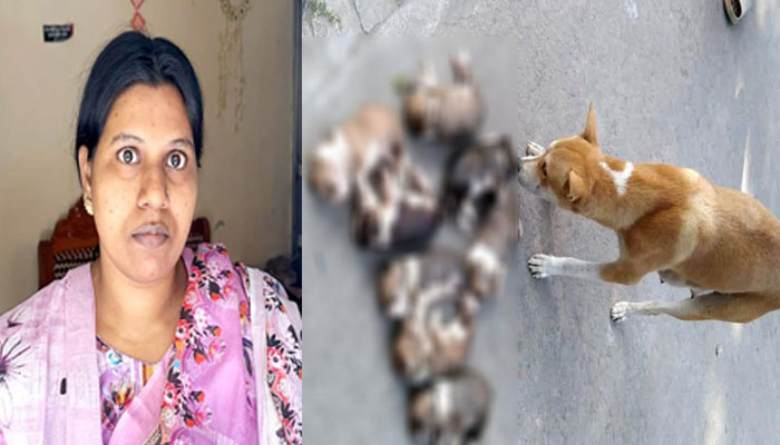 ৮ কুকুরছানা হত্যার অভিযোগ, সরকারি বাসা ছাড়তে বাধ্য হলেন কর্মকর্তা