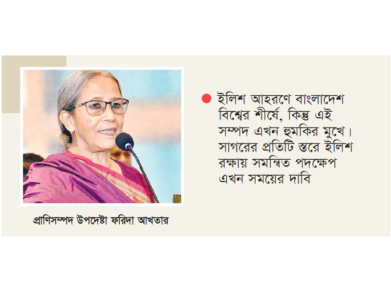অবৈধ মাছ ধরা বন্ধে বৈশ্বিক সহযোগিতা জোরদারে গুরুত্ব