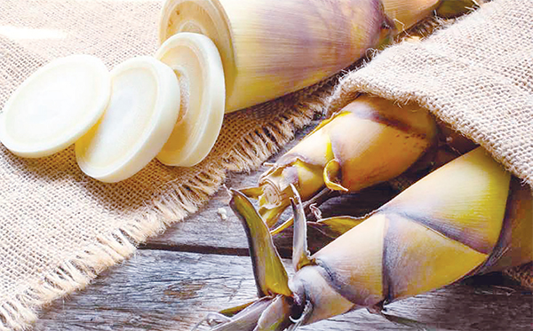 পরিবেশ রক্ষায় বাঁশ