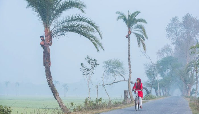 চুয়াডাঙ্গায় বাড়ছে শীত, তাপমাত্রা নেমে ১৩ ডিগ্রীতে