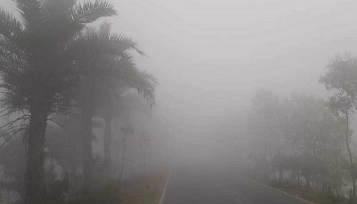 চুয়াডাঙ্গায় বাড়ছে শীত, তাপমাত্রা নামলো ১২ ডিগ্রিতে