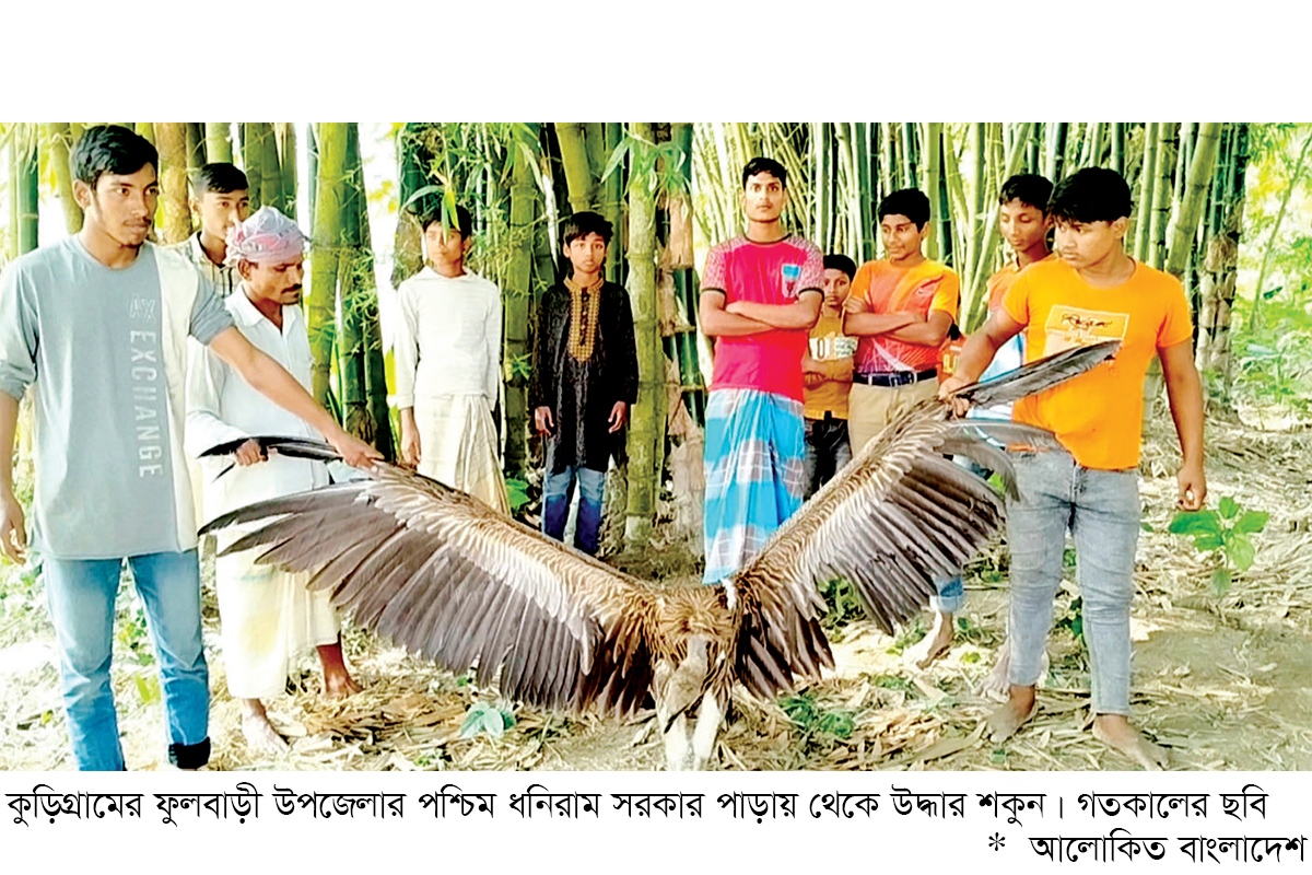 বিপন্ন প্রজাতির শকুন উদ্ধার বিপন্ন প্রজাতির শকুন উদ্ধার