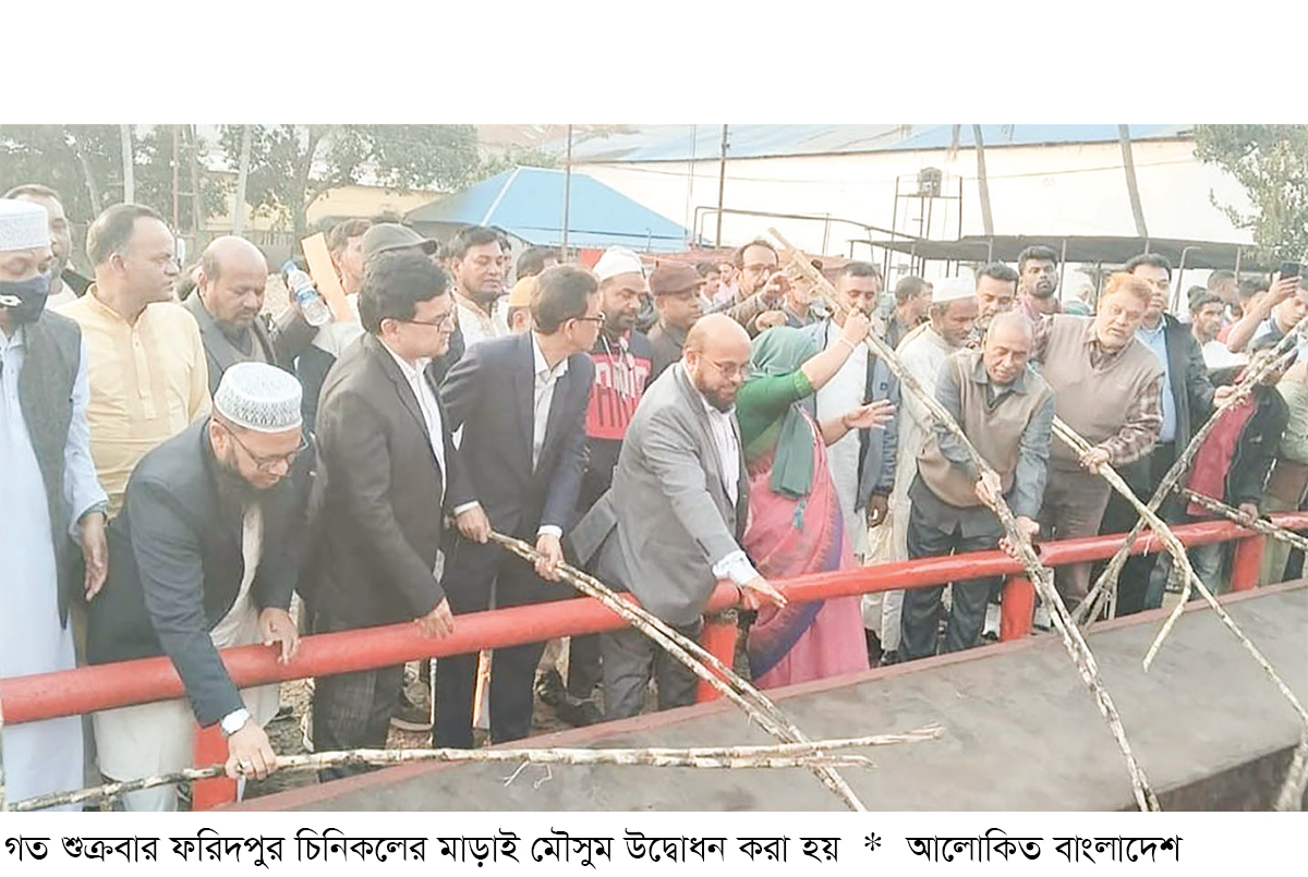 ফরিদপুর চিনিকলে মাড়াই মৌসুম শুরু