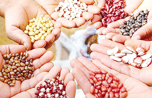 স্বাবলম্বিতায় সুখ ও সফলতা স্বাবলম্বিতায় সুখ ও সফলতা