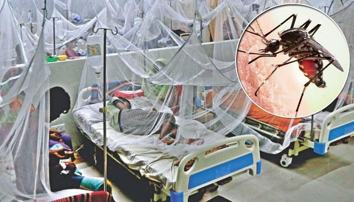 ডেঙ্গুতে আরও ২ জনের মৃত্যু, হাসপাতালে ৫১৬ ডেঙ্গুতে আরও ২ জনের মৃত্যু, হাসপাতালে ৫১৬