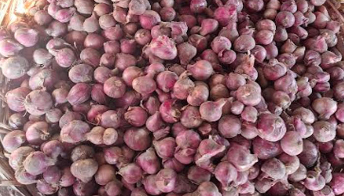 আমদানির ঘোষণাতেই পেঁয়াজের দাম কমলো কেজিতে ৩০ টাকা আমদানির ঘোষণাতেই পেঁয়াজের দাম কমলো কেজিতে ৩০ টাকা