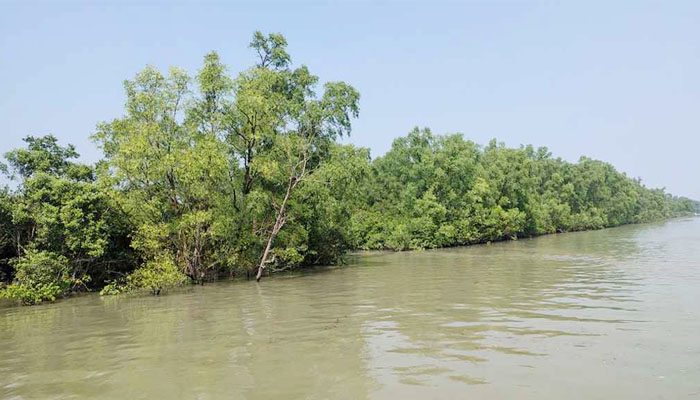 সুন্দরবনে ৭ জেলে অপহৃত, মাথাপিছু ৫০ হাজার টাকা মুক্তিপণ দাবি সুন্দরবনে ৭ জেলে অপহৃত, মাথাপিছু ৫০ হাজার টাকা মুক্তিপণ দাবি