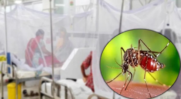 ডেঙ্গুতে ২৪ ঘণ্টায় আরও ২ মৃত্যু, নতুন শনাক্ত ৪৫৫