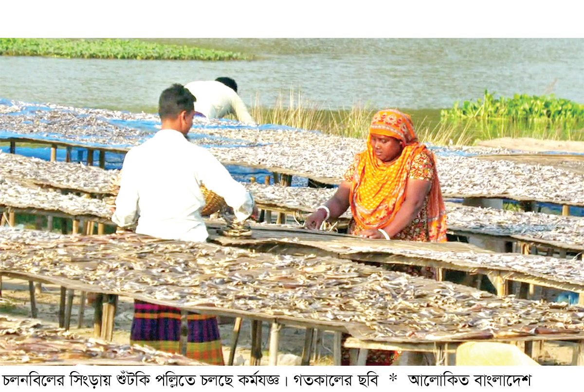 রপ্তানি বিপর্যয়ে কমেছে বিষমুক্ত শুঁটকির দাম