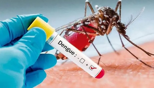 ২৪ ঘণ্টায় ডেঙ্গুতে আরও তিনজনের মৃত্যু, হাসপাতালে ভর্তি ৪২১ ২৪ ঘণ্টায় ডেঙ্গুতে আরও তিনজনের মৃত্যু, হাসপাতালে ভর্তি ৪২১