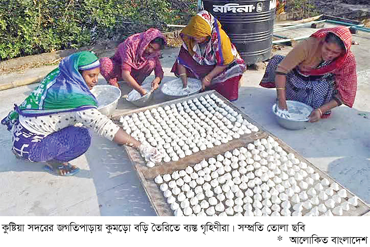 কুমড়ো বড়িতে স্বাবলম্বী কুষ্টিয়ার পাঁচ শতাধিক পরিবার