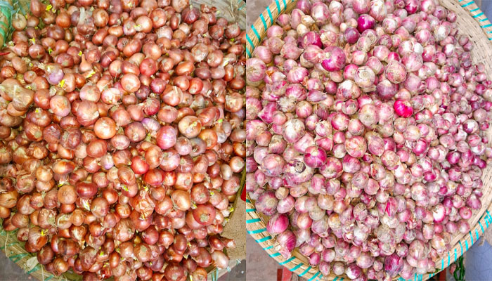 সরবরাহ থাকলেও ঈশ্বরদীতে বেড়েছে পেঁয়াজের দাম সরবরাহ থাকলেও ঈশ্বরদীতে বেড়েছে পেঁয়াজের দাম