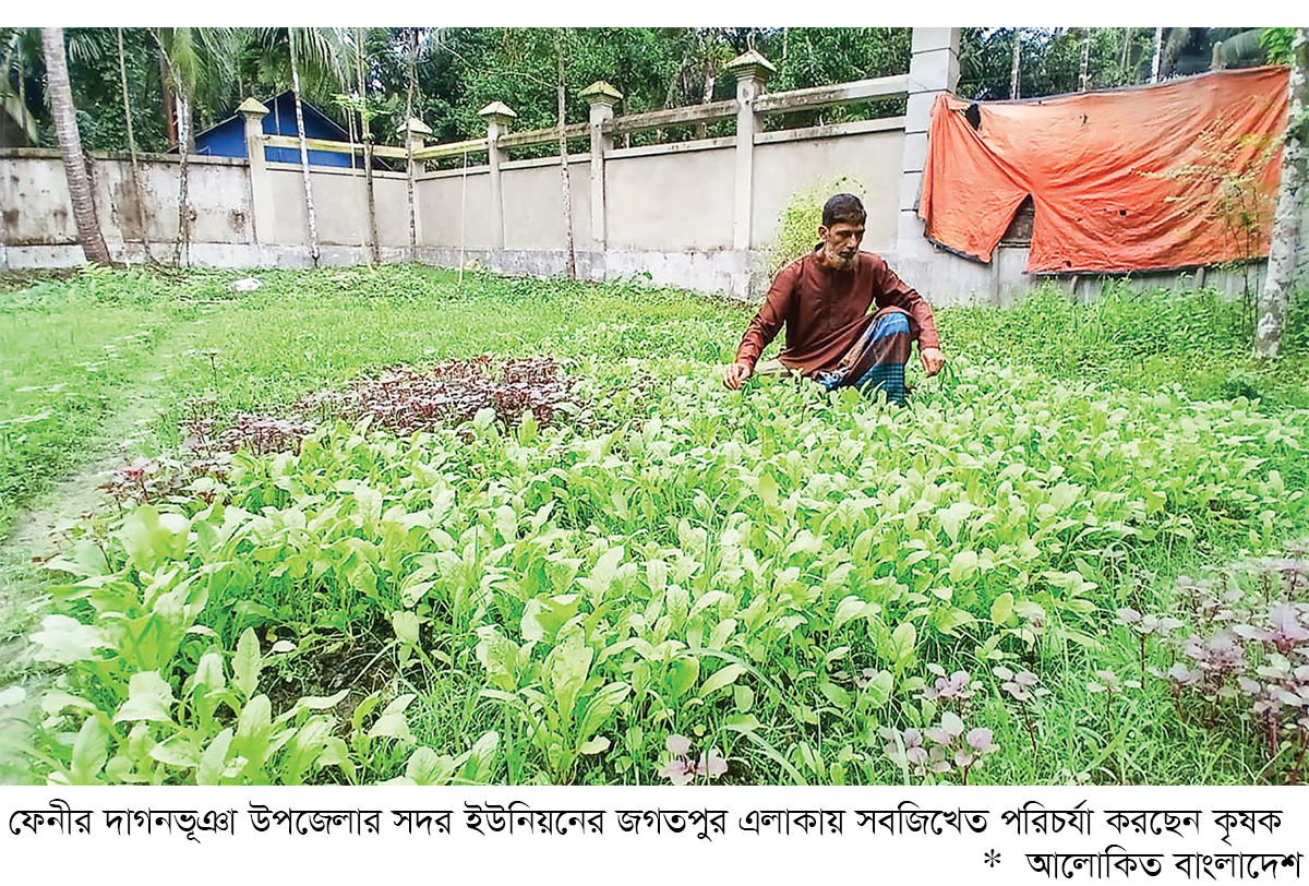 দাগনভূঞায় শীতকালীন সবজিখেত পরিচর্যায় ব্যস্ত কৃষক