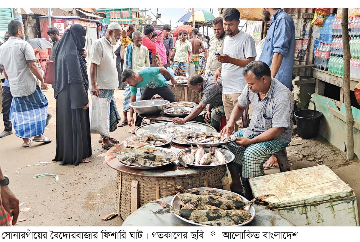 বৈদ্যেরবাজার ফিশারি ঘাটে দৈনিক ২০ লাখ টাকার মাছ বিক্রি বৈদ্যেরবাজার ফিশারি ঘাটে দৈনিক ২০ লাখ টাকার মাছ বিক্রি