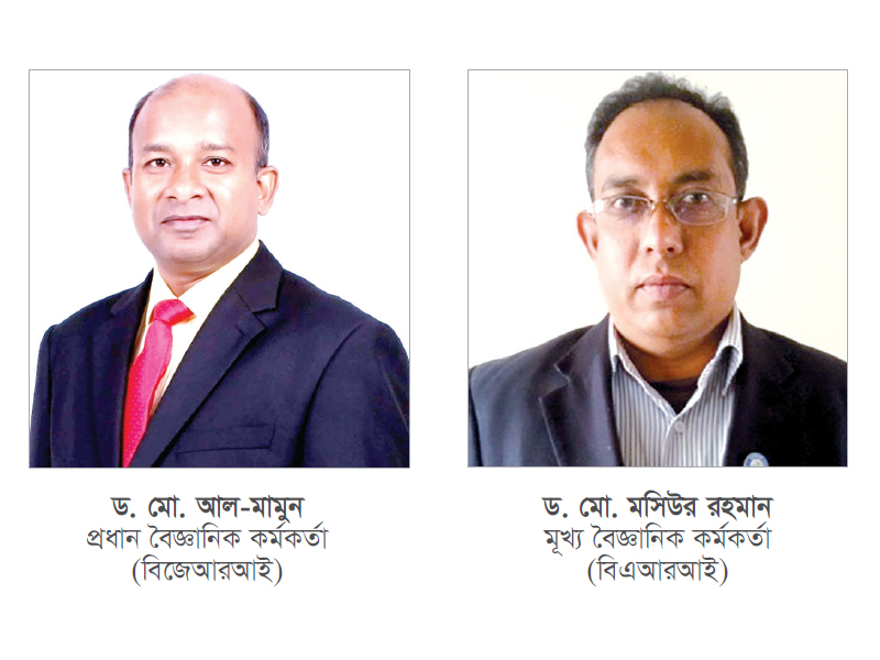 অ্যাব-নার্সসাব মতবিনিময় সভায় পূর্ণাঙ্গ আহ্বায়ক কমিটি ঘোষণা অ্যাব-নার্সসাব মতবিনিময় সভায় পূর্ণাঙ্গ আহ্বায়ক কমিটি ঘোষণা