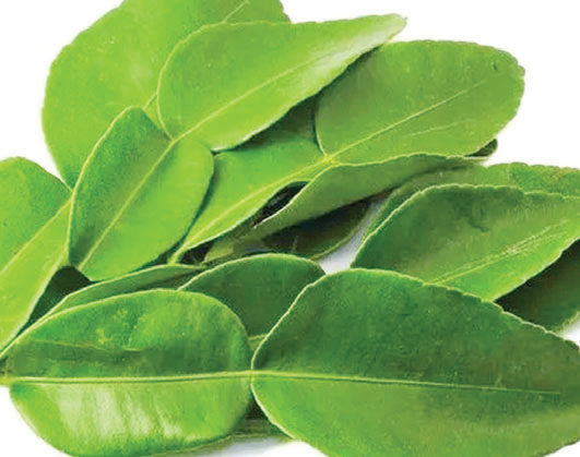 খুশকি দূর করতে লেবু পাতা খুশকি দূর করতে লেবু পাতা