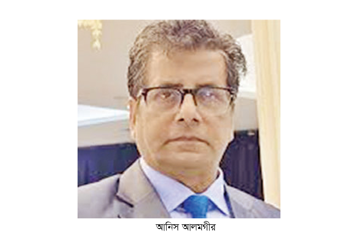 সাংবাদিক আনিস আলমগীর ডিবি হেফাজতে সাংবাদিক আনিস আলমগীর ডিবি হেফাজতে