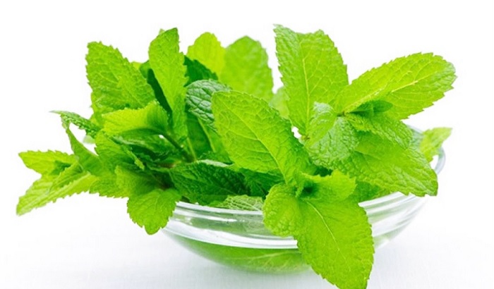 তুলসিপাতার উপকারিতা তুলসিপাতার উপকারিতা